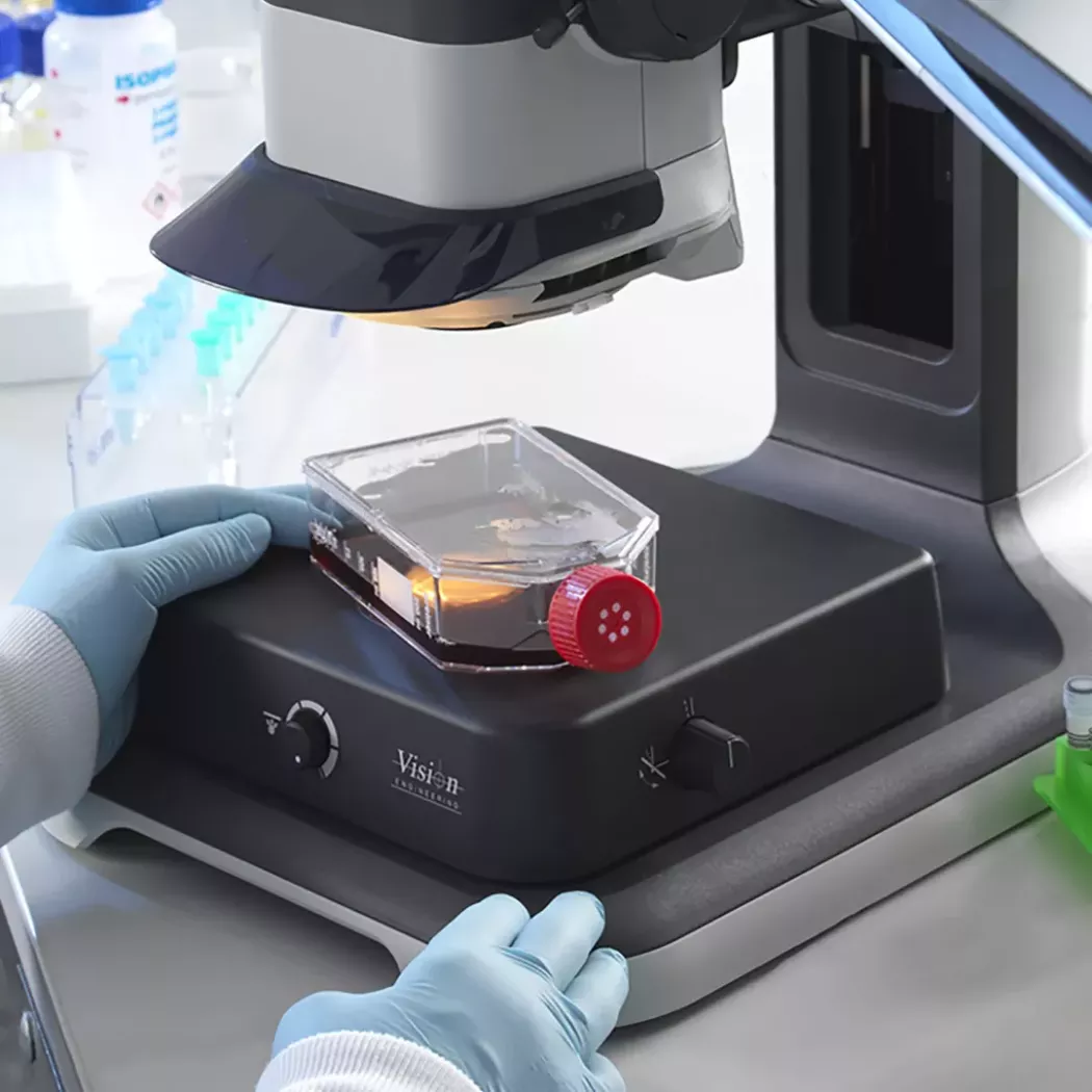 Inspekcja kolby z&nbsp;hodowlą komórkową na bazie kontrastowej mikroskopu Lynx EVO