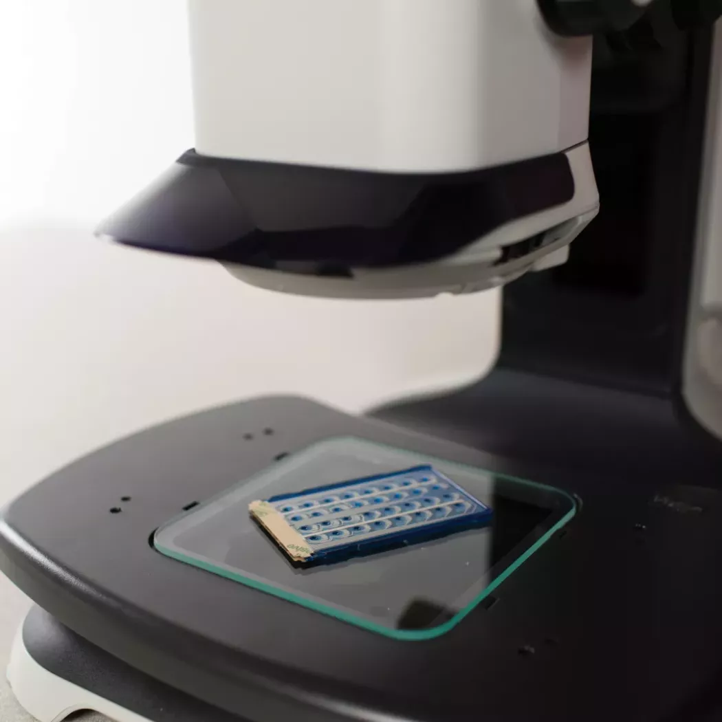 Płytka PCB na podstawce podstolikowej mikroskopu Lynx EVO na statywie ErgoStand